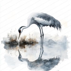 16 Kraanvogel op één been-clipart | Illustratie serene waterscène | Afdrukbare aquarel clipart | Hoge kwaliteit JPG's | Papierkunst | dagboek