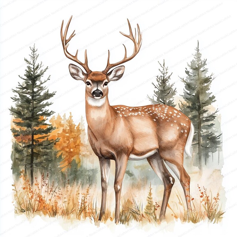 Pu&ograve; includere: Un dipinto ad acquerello di un cervo dalla coda bianca in piedi in un ambiente boschivo. Il cervo ha un manto marrone con macchie bianche e grandi corna. Lo sfondo presenta pini verdi e una foresta autunnale sfocata.