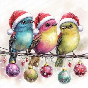 16 imágenes prediseñadas de pájaros navideños en formato JPG / Diseños extravagantes de pájaros de invierno / Imágenes prediseñadas de acuarela imprimibles / JPG de alta calidad / Manualidades de papel / Diario