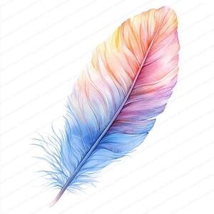 21 Clipart di piume artistiche / Collezione di design elegante con piume / Clipart di acquerelli stampabili / JPG di alta qualità / Artigianato di carta / diario