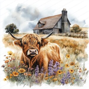 May include: A brown Highland cow with long, shaggy hair stands in a field of wildflowers. The cow is looking directly at the camera. A wooden farmhouse is visible in the background.
