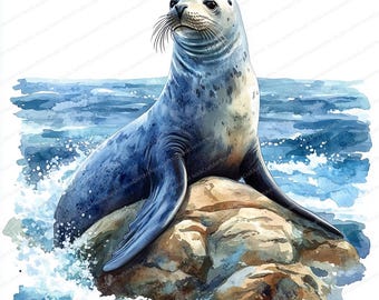 アザラシの水彩画クリップアート：海岸の動物アート（デジタル