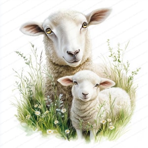 18 Bauernhof Schafe Clipart | Aquarell Lamm Kunst | Druckbare Clipart | Hochwertige JPGs | Digitaler Download | Papierkunst