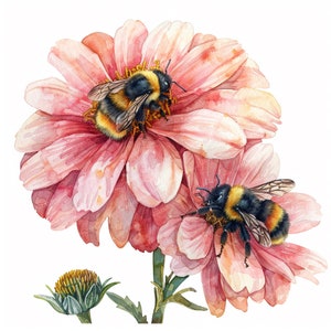 20 bijen en bloemen | Clipart bloemen bijen | Afdrukbare aquarel clipart | Hoge kwaliteit JPG | Digitale download | Papierkunst | junkjournaal