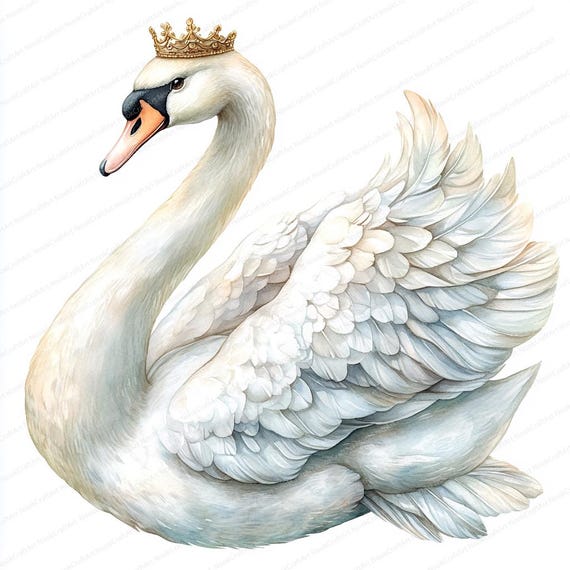 20 王冠をつけた白鳥のクリップアート | 王室の鳥のイラストデザイン