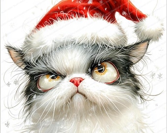 Könnte beinhalten: Illustration einer grimmig dreinblickenden Katze mit roter Weihnachtsmütze und weißem Rand. Die Katze hat schwarz-weißes Fell, eine rosa Nase und große, ausdrucksstarke gelbe Augen. Ein festliches Bild.