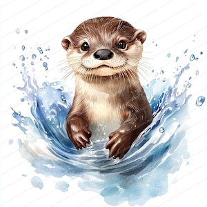 14 Otter Freunde im Wasser Clipart | Druckbare Aquarell Clipart | Hochwertige JPGs | Digitaler Download | Papiermodell | Junk Journal