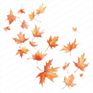Puede incluir: Ilustración en acuarela de hojas de otoño cayendo en tonos naranja y amarillo sobre un fondo blanco. Las hojas, de varios tamaños y ángulos, crean una sensación de movimiento y un tema estacional.