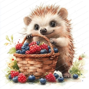 20 Ouriço com cesta de frutas clipart | Arte adorável de animais da floresta | Clipart de aquarela para impressão | JPGs de alta qualidade | Diário de lixo