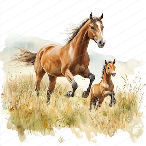 20 veulen en merrie spelen clipart | Illustratie lenteweide | Afdrukbare aquarel clipart | Hoge kwaliteit JPG's | Papierkunst | Junkjournaal