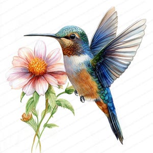 19 Kolibri Blumen Clipart | Naturinspirierte digitale Illustration | Druckbare Aquarell Clipart | Hochwertige JPGs | Junk Journal