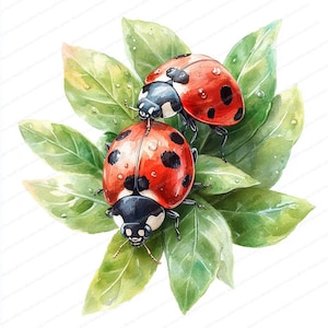20 Clipart di foglie di coccinella / Illustrazioni naturalistiche stravaganti / Clipart di acquerelli stampabili / JPG di alta qualità / Lavoretti di carta / Diario di scarto
