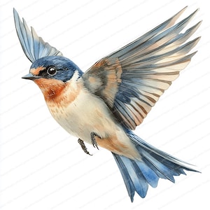 18 cliparts d'hirondelle | Pack d'illustrations d'oiseaux élégants | Clipart aquarelle imprimable | JPG de haute qualité | Créations artisanales en papier | Journal indésirable
