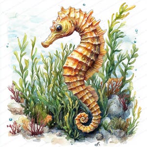 17 Seahorse Ocean Clipart | Ilustracja podwodnego stworzenia | Wydrukowalne cliparty akwarelowe | Wysokiej jakości pliki JPG | Rękodzieło papierowe | Dziennik śmieci