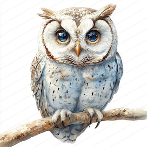 19 wijse uil clipartcollectie | Betoverende bosgraphics | Afdrukbare aquarel clipart | Hoge kwaliteit JPG's | Papierkunst | dagboek
