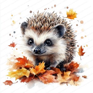 14 leuke herfstegelontwerpen clipart | Afdrukbare aquarel clipart | Hoge kwaliteit JPG's | Digitale download | Papierkunst | junkjournaal
