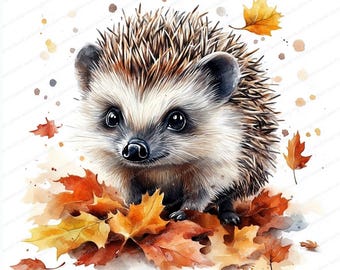 14 Fun Autumn Hedgehog Designs Clipart | Printable Watercolor clipart | High Quality JPGs | Digital download | Paper craft | junk journal