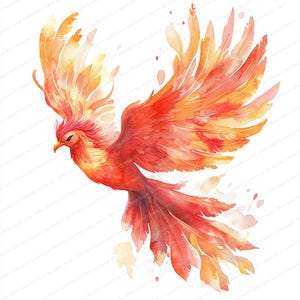 15 Clipart Queue De Feu Phénix | Conception gracieuse d'oiseau mythique | Clipart aquarelle imprimable | JPG de haute qualité | Téléchargement numérique