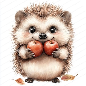 18 Clipart hérisson aux pommes | Illustration d'animal de dessin animé mignon | Clipart aquarelle imprimable | JPG de haute qualité | Journal indésirable