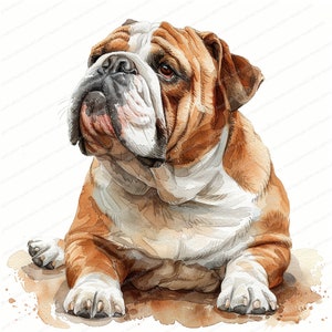 12 English Bulldog Clipart | Printable Watercolor clipart | High Quality JPGs | Digital download | High resolution | Paper craft | journal