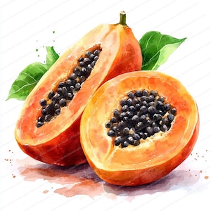 18 imágenes prediseñadas de papaya tropical / Ilustraciones de frutas exóticas / Imágenes prediseñadas de acuarela imprimibles / JPG de alta calidad / Manualidades de papel / Diario basura