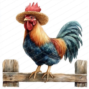 22 Clipart chapeau de paille coq | Illustration originale d'animal de ferme | Clipart aquarelle imprimable | JPG de haute qualité | Créations artisanales en papier | revue