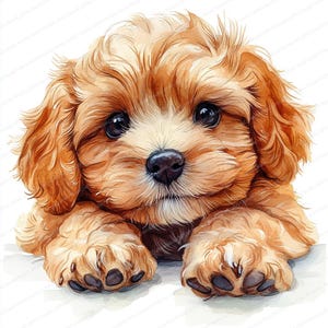 24 braun Maltipoo Clipart | Niedliche Hunde Illustrationen | Druckbare Aquarell Clipart | Hochwertige JPGs | Papiermodell | Junk Journal