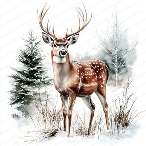 20 Christmas Deer Clipart Bundle | Reindeer Clipart | High Quality Jpgs ...