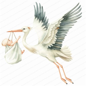 12 Cigüeña linda / Colección de imágenes prediseñadas para bebés / Imágenes prediseñadas de acuarela imprimibles / JPG de alta calidad / Descarga digital / Artesanía de papel / diarios basura