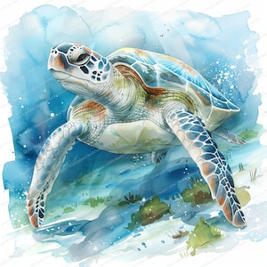 11 clipart de tartaruga marinha | Tartaruga Aquarela | Clipart aquarela para impressão | JPG de alta qualidade | Download digital | Artesanato de papel | Diário