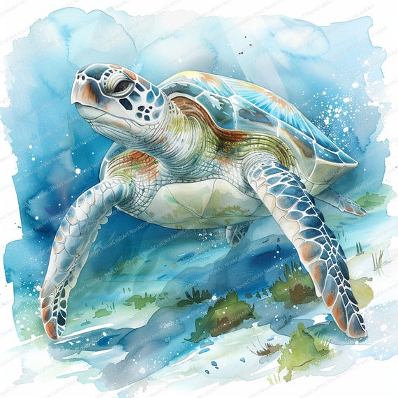 11 ウミガメのクリップアート | 水彩画のカメ | 印刷可能な水彩画の