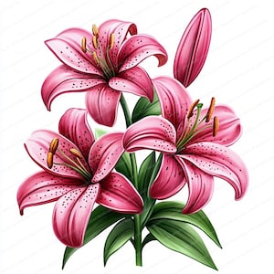 Pacote de 18 clipart de flores de lírio Stargazer | Clipart de aquarela para impressão | JPGs de alta qualidade | Download digital | Artesanato em papel | diário de lixo