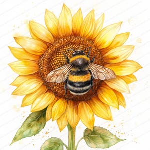 May include: A watercolour painting of a sunflower and a bumblebee. The sunflower has yellow petals and a brown centre. The bumblebee is black and yellow with detailed wings. Green leaves and stem complete the image.