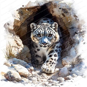 20 cliparts embuscade léopard des neiges | Conception d'illustration de chat majestueux | Clipart aquarelle imprimable | JPG de haute qualité | Créations artisanales en papier | revue