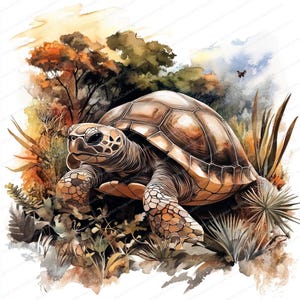 May include: A watercolor painting of a brown tortoise in a forest setting. The tortoise is walking on a path with green plants and trees in the background.