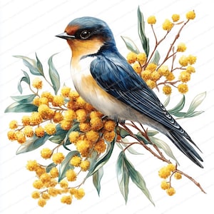 17 Rondine con ramo di mimosa Clipart / Illustrazione di uccello primaverile / Clipart acquerello stampabile / JPG di alta qualità / Carta artigianale