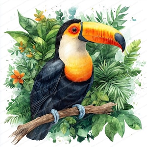 18 cliparts toucan coloré | Illustration d'oiseau tropical | Clipart aquarelle imprimable | JPG de haute qualité | Créations artisanales en papier | Journal indésirable