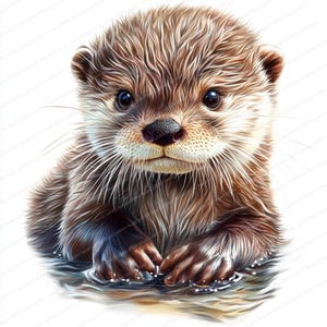 20 cliparts loutre ludique | Clipart aquarelle imprimable | JPG de haute qualité | Téléchargement numérique | Créations en papier | Journal indésirable