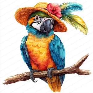 22 Parrot in Hat Clipart | Ilustração de chapéu com penas | Clipart de aquarela para impressão | JPGs de alta qualidade | Artesanato em papel | Diário de lixo