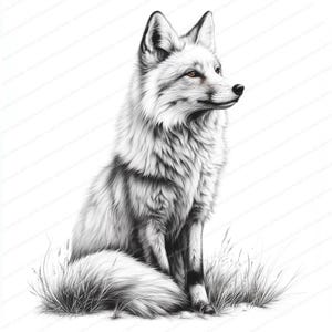 15 Clipart di volpe in bianco e nero / Design di arte lineare / Clipart di acquerello stampabile / JPG di alta qualità / Download digitale / Junk Journals