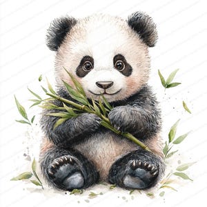 May include: Watercolor illustration of a panda bear sitting and holding bamboo stalks. The panda has black and white fur, with black patches around its eyes and ears. Green bamboo leaves are in its paws and scattered around the panda.