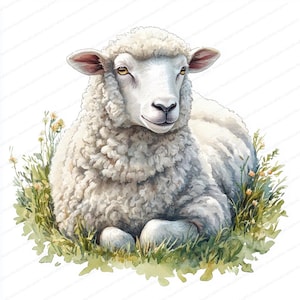 18 Schafe mit weicher Wolle Clipart | Süßes pastorales Motiv | Druckbare Aquarell Clipart | Hochwertige JPGs | Papiermodell | Junk Journal