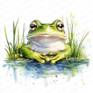 17 Clipart Grenouille verte | Grenouille aquarelle | Clipart crapaud | JPG de haute qualité | Téléchargement numérique | Créations artisanales en papier | journal indésirable