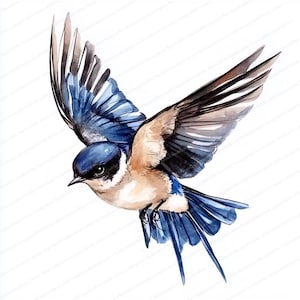 20 Clipart Oiseau Hirondelle | Motifs aquarelle | Art imprimable | JPG de haute qualité | Téléchargement numérique | Créations en papier | Journaux indésirables