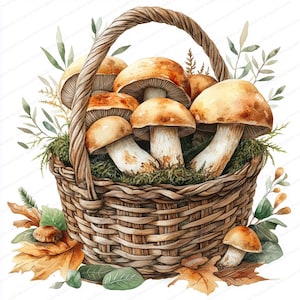 22 Clipart di funghi porcini / Illustrazione di un cesto di raccolta / Clipart di acquerelli stampabili / JPG di alta qualità / Carta artigianale / Diario di scarto