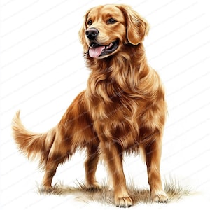 18 Golden Retriever Clipart | Filhote de cachorro adorável | Clipart de aquarela para impressão | JPGs de alta qualidade | Download digital | Artesanato em papel | diário