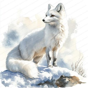 17 set di clipart di volpe artica / pacchetto di illustrazioni di fauna selvatica invernale / clipart di acquerelli stampabili / JPG di alta qualità / lavoretti di carta / diario