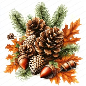 May include: Watercolor illustration of a fall arrangement featuring brown pine cones, acorns, and orange oak leaves. Green pine needles and a small branch with tiny brown buds complete the autumn-themed design, perfect for seasonal decor.