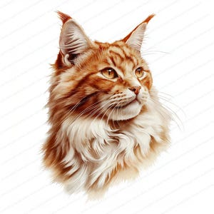 May include: A close-up portrait of a ginger Maine Coon cat with white fur on its chest and neck. The cat has bright yellow eyes and is looking to the right.