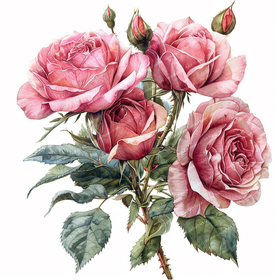 13 Pink Roses Set | Roses Bouquet | Printable Watercolor Clipart ...